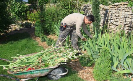 Artisans3 Jardinier Photos Nettoyage Iris Jardin